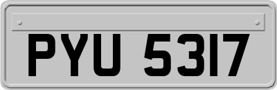 PYU5317