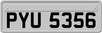 PYU5356