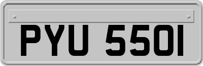 PYU5501