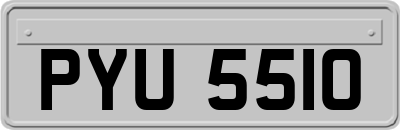 PYU5510