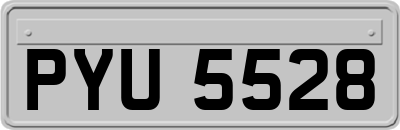 PYU5528