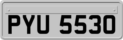 PYU5530