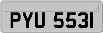 PYU5531