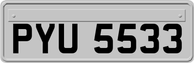 PYU5533