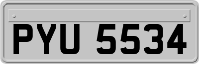 PYU5534