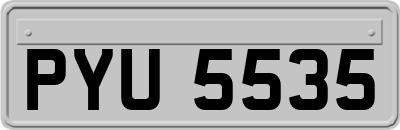 PYU5535