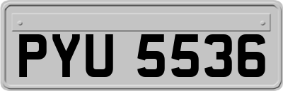 PYU5536