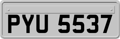 PYU5537