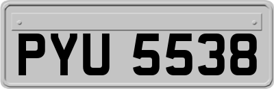 PYU5538