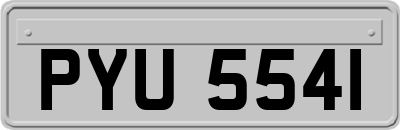 PYU5541