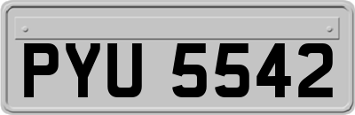 PYU5542