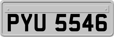 PYU5546