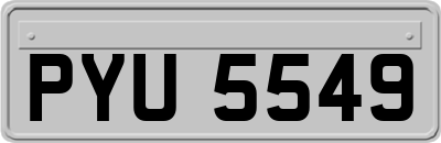 PYU5549