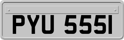 PYU5551