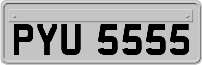 PYU5555