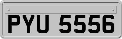 PYU5556