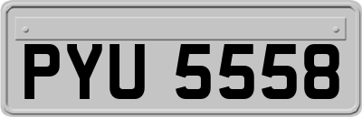 PYU5558