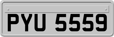 PYU5559