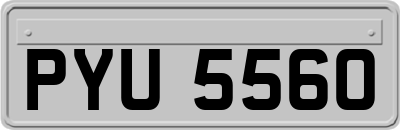 PYU5560