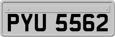 PYU5562