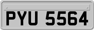 PYU5564