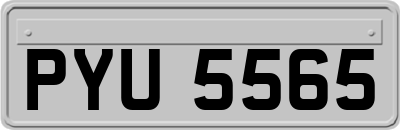 PYU5565