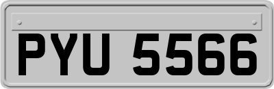 PYU5566