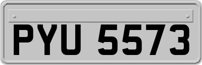 PYU5573