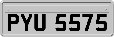 PYU5575