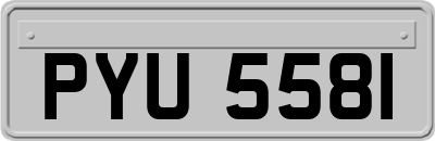 PYU5581