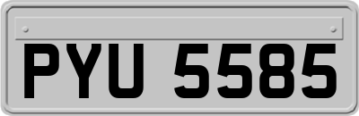 PYU5585