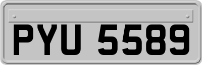 PYU5589