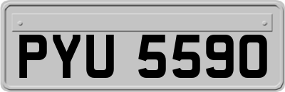 PYU5590