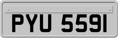 PYU5591