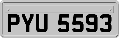 PYU5593