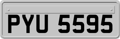 PYU5595