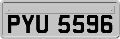 PYU5596