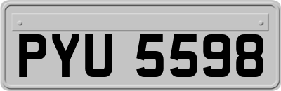 PYU5598