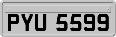 PYU5599