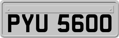 PYU5600