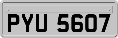 PYU5607