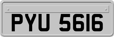 PYU5616