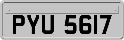 PYU5617