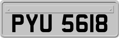 PYU5618