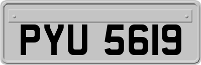 PYU5619