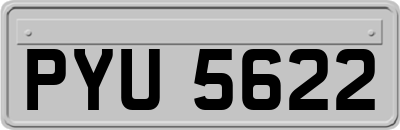 PYU5622