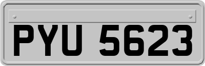 PYU5623