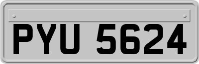 PYU5624