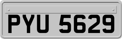 PYU5629