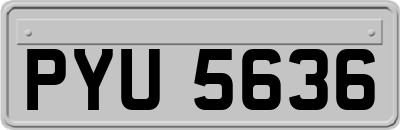 PYU5636